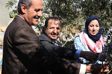 جامعة الأقصى تنظم يوم عمل تطوعي لمساندة المزارع الفلسطيني بجني ثمار الزيتون 